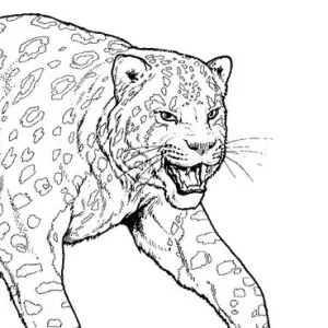 View Photo Leopard6.webp
