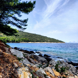photo/31b17aa9-c935-4929-83d1-b76b8c4e4be3-3