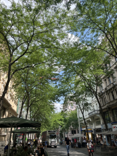 IMG_0549.jpeg